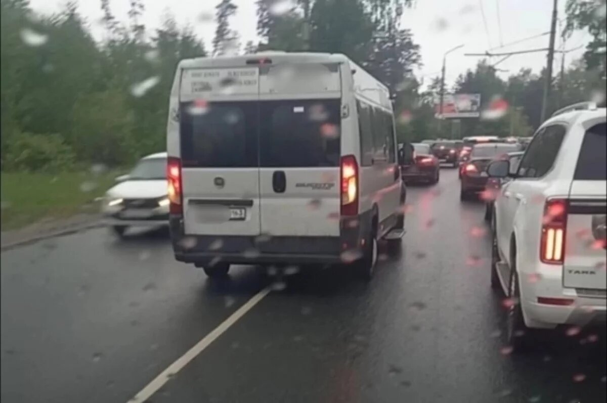    Полиция Тольятти нашла водителя маршрутки № 91, выехавшего на встречку