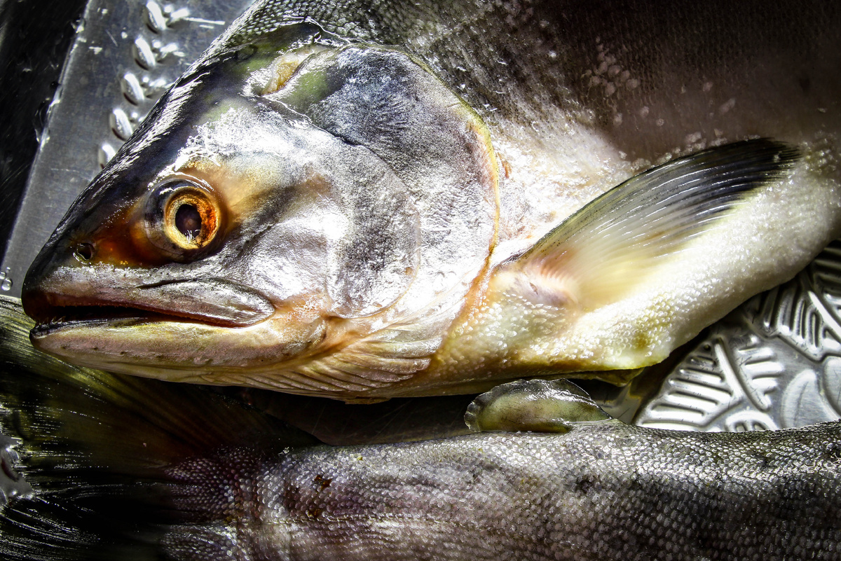 Фото автора.