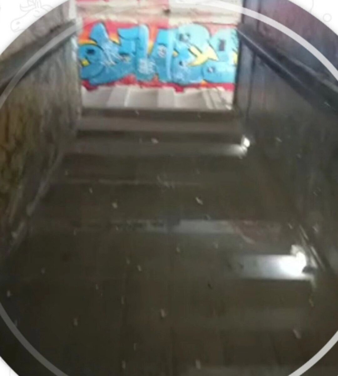     Источник: vk.com/Злой ижевчанин