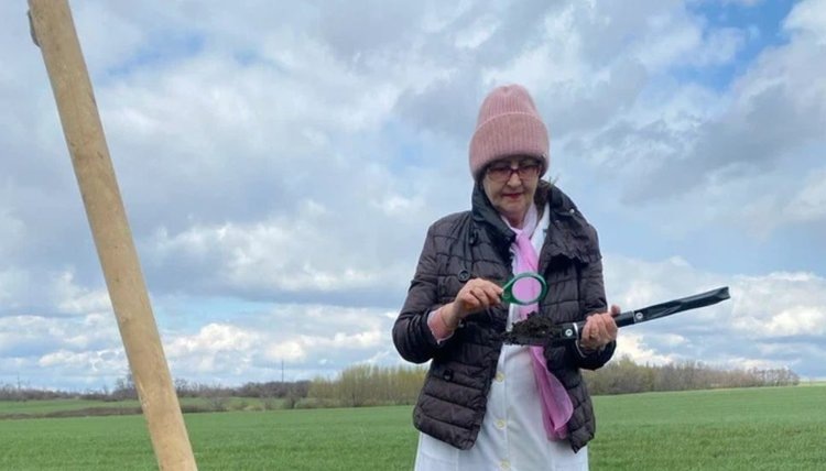    В ДНР проводят обследование полей на наличие саранчи и других вредителей после теплой зимы