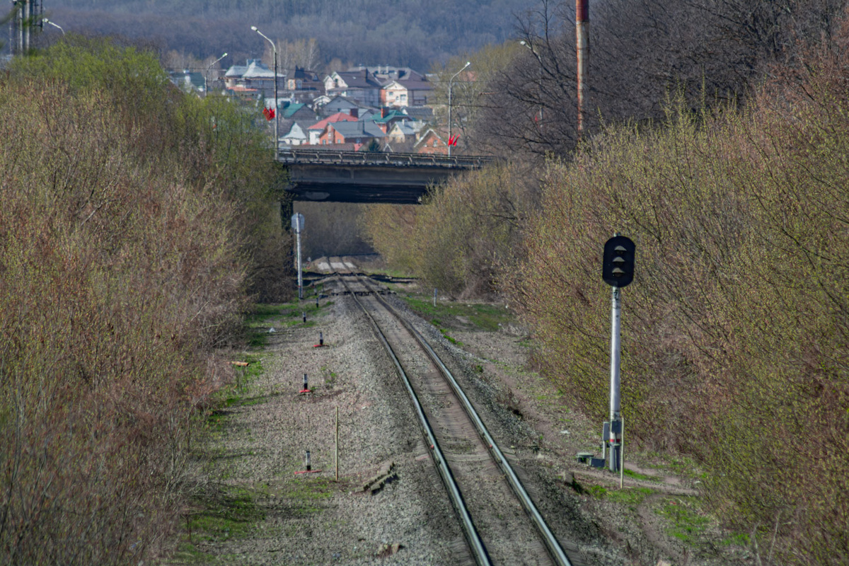 Тест телеобъектива на 300 мм