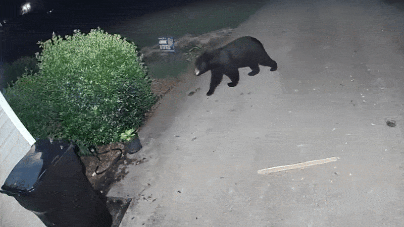 Нравится Формат? Поддержи Канал Лайком и напиши какой эпизод понравился больше всех
