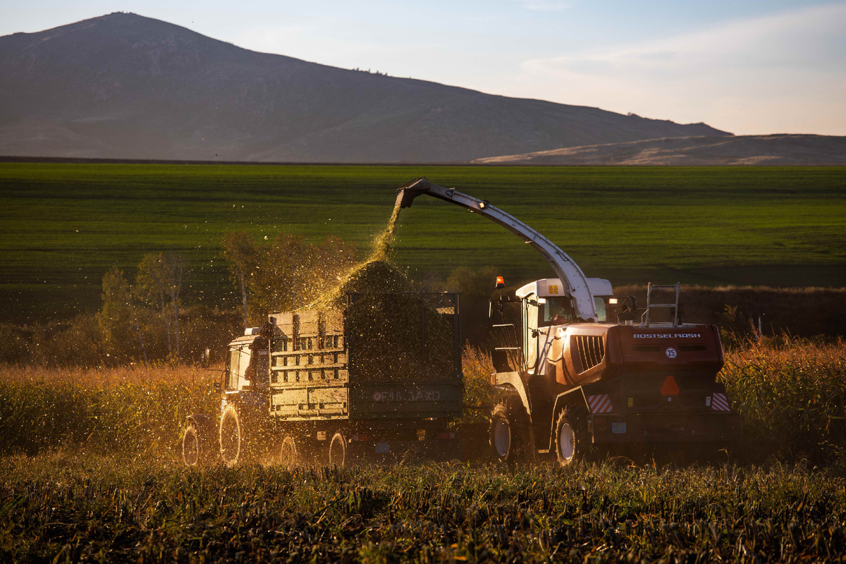 Ростсельмаш 