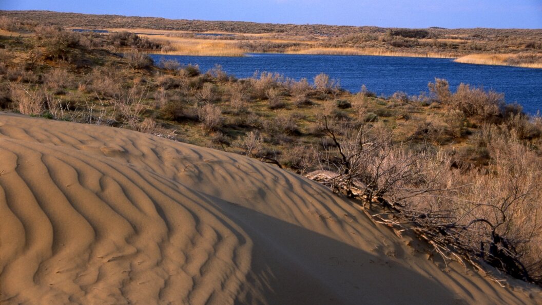    Фото: Boris Rezvantsev/Russian Look/Globallookpress