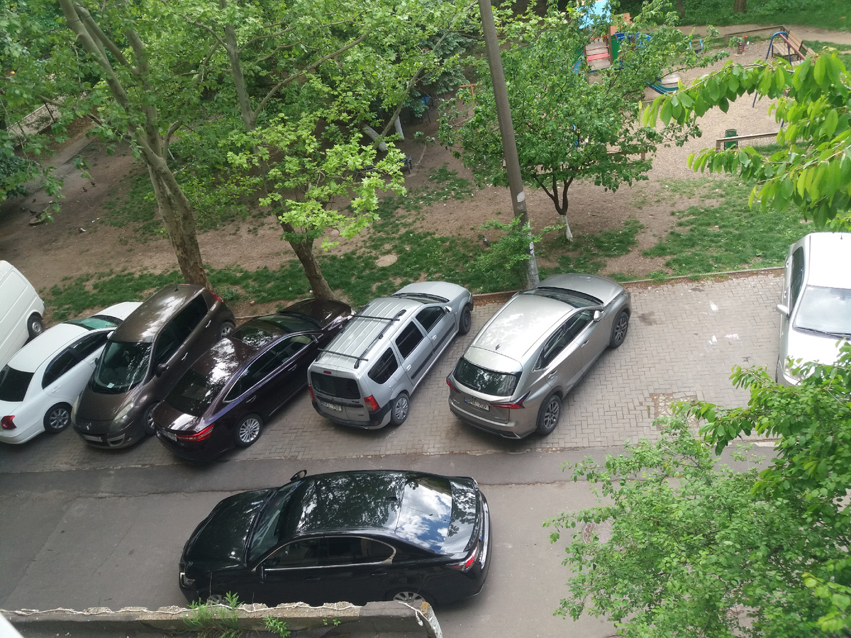 Фото автора