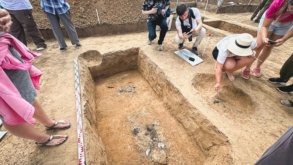     Источник: 1MI