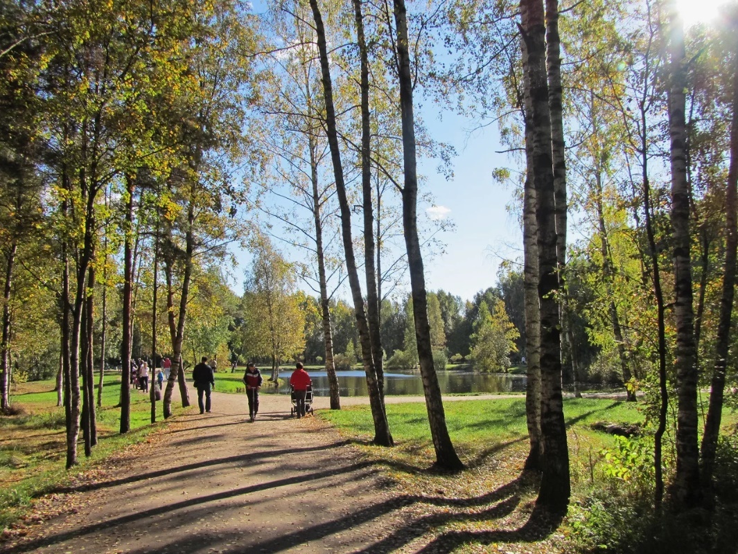 парк Сосновка - зеленые легкие нашего города