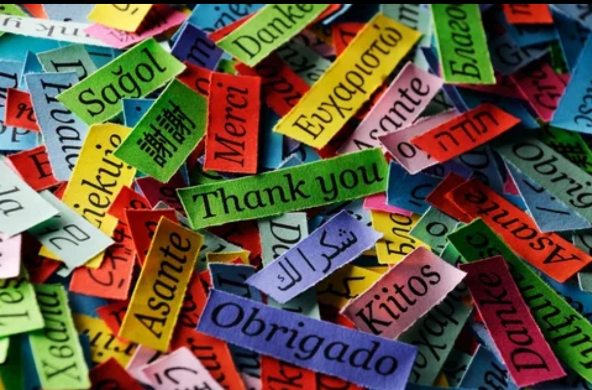 Из свободного источника