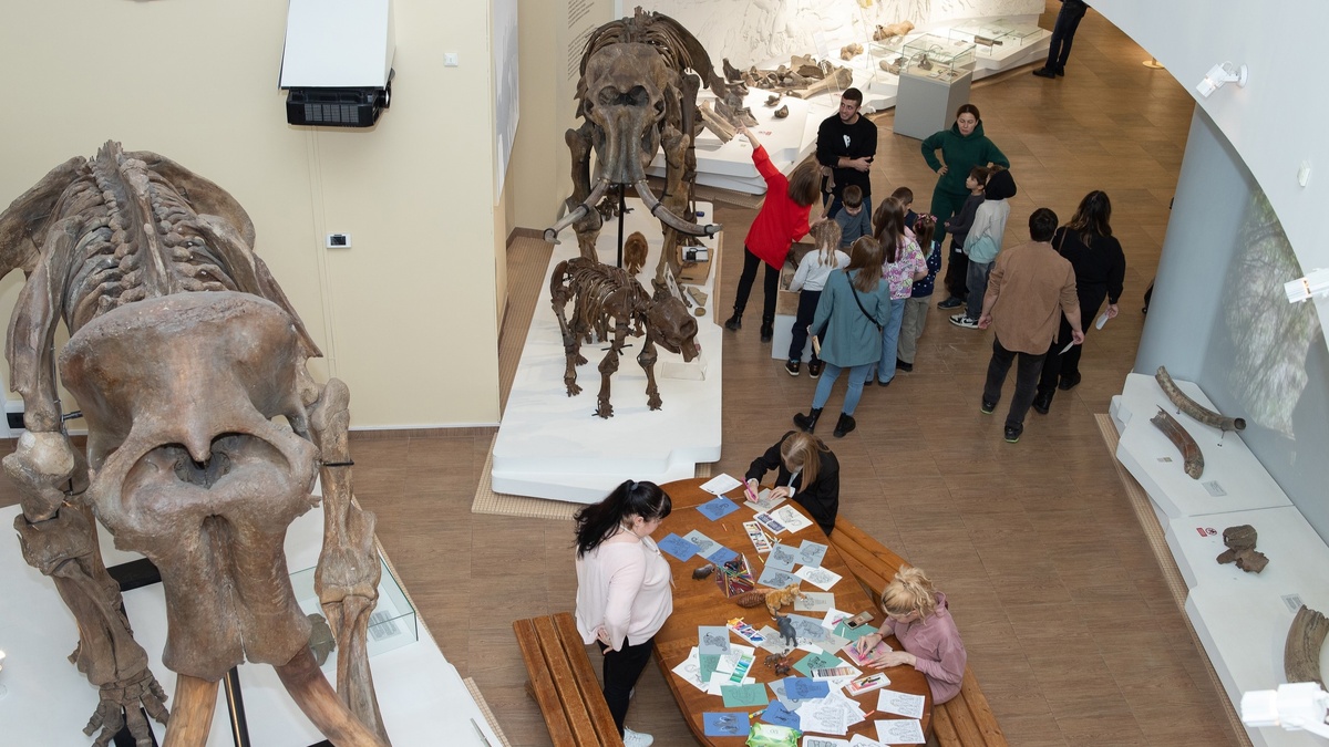    Хранители наследия - какие «собратья» югорских мамонтов украшают Донецкий краеведческий музей?