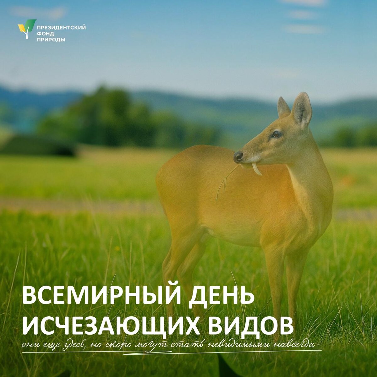 Изображение: президентскийфондприроды.рф