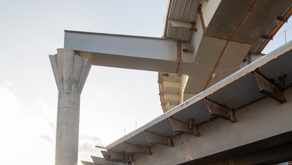    Автор фото: Ермохин Сергей/"ДП"