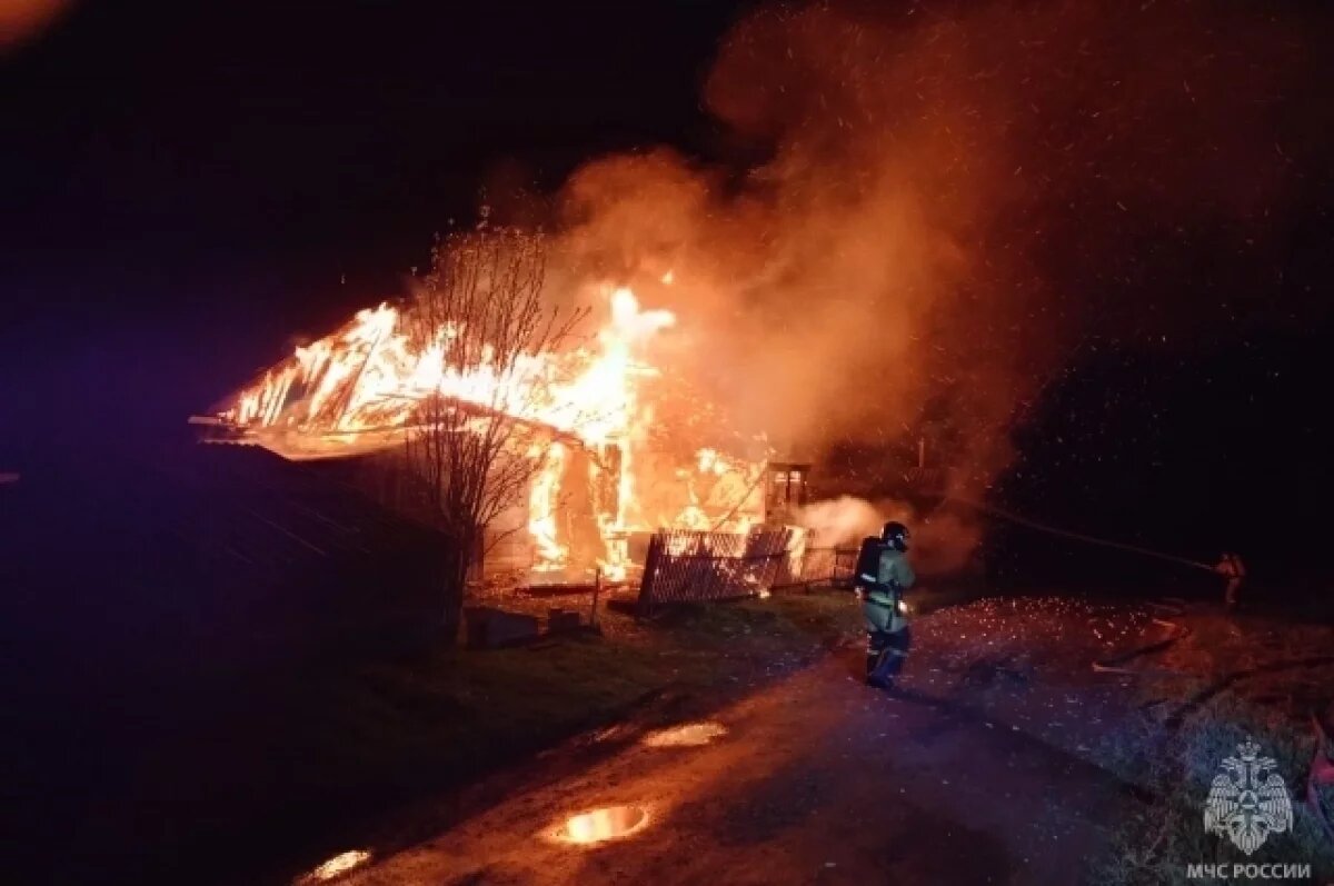    22 пожара произошли в Псковской области с начала года из-за поджога