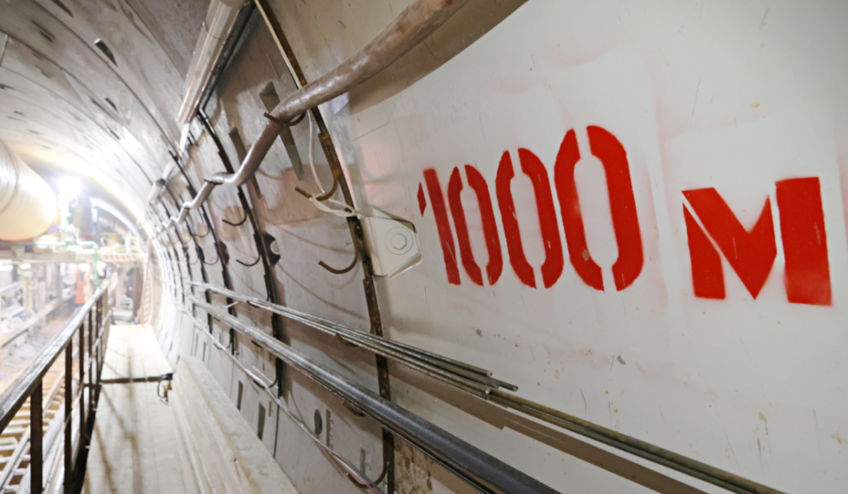     Метротрам. Источник: rg.ru Автор фото: Пресс-служба правительства и губернатора Красноярского края