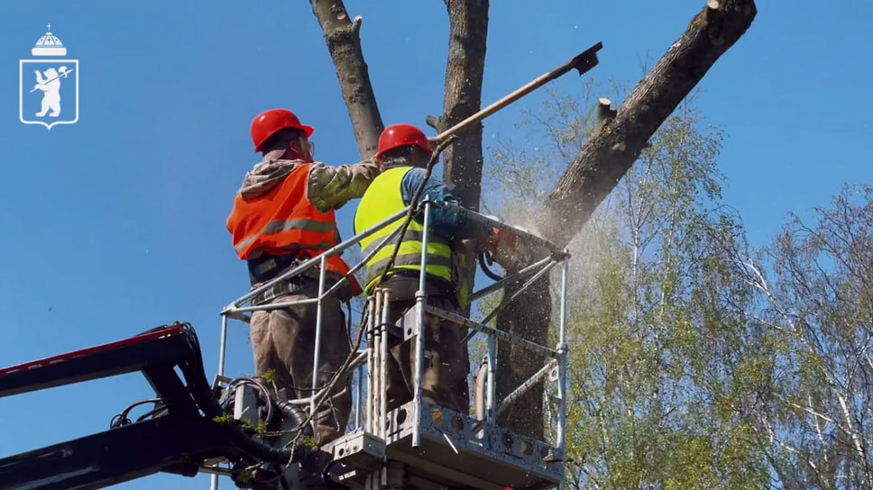 Фото: мэрия Ярославля