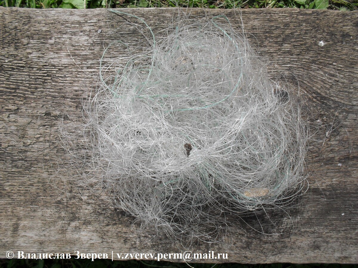Фото 2. Часть рыболовной сети.