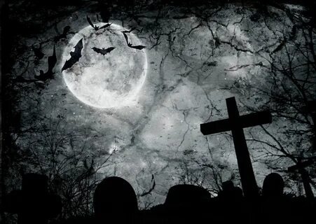 Новое в мире книг Дмитрия ВАРТАНОВА