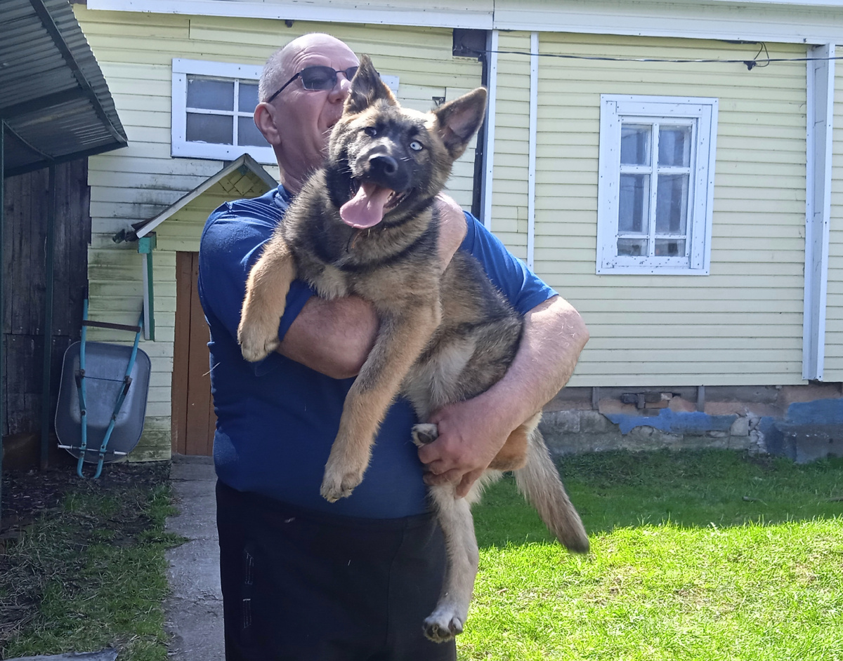 Какая же не любит, когда носят на руках 