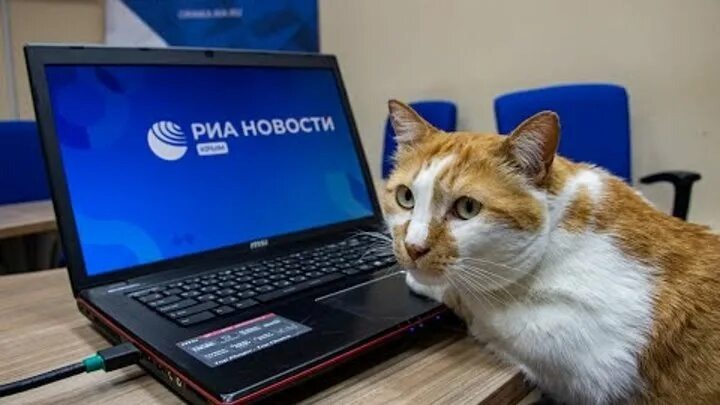 Источник РИА новости города Екатеринбург 