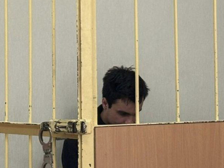     Фигуранта освободили из-под стражи в зале суда. Фото: Объединенная пресс-служба судов Петербурга