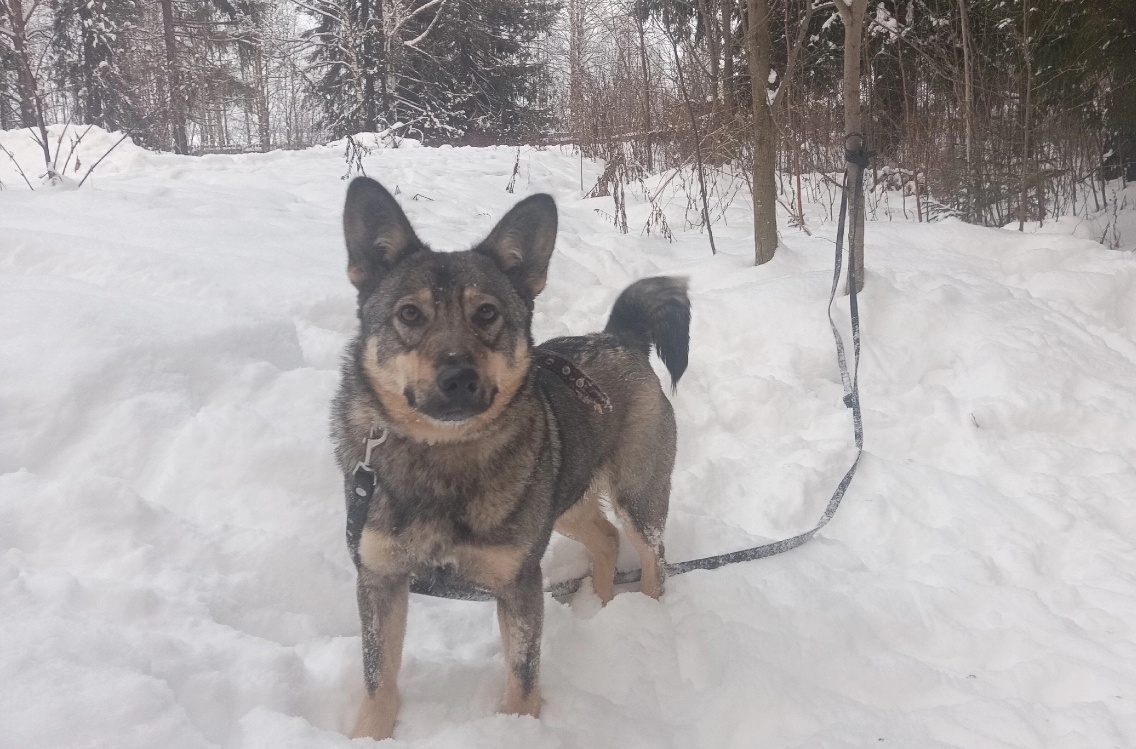 Гайка январь 2025