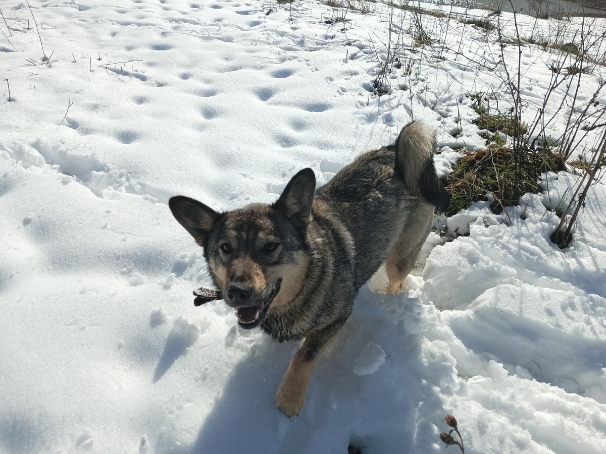 Гайка апрель 2025