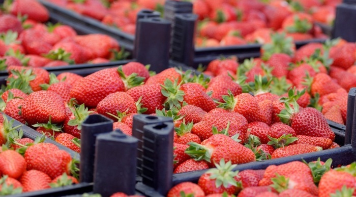    администрация Краснодара