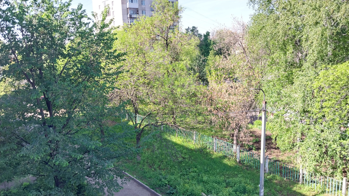 Вид из окна.