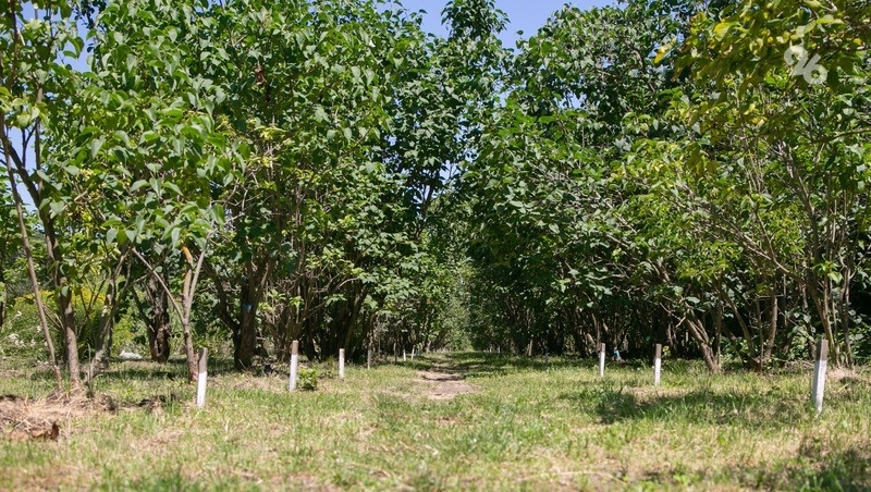      Фото: ИА «Победа26»