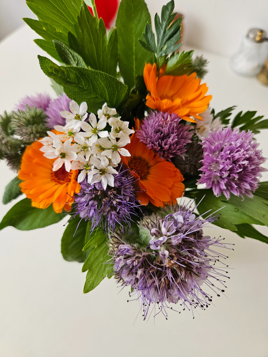 Яркий и ароматный букетик из фацелии, ноготков, пряных трав