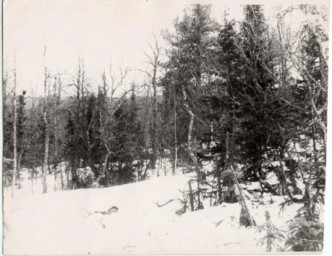 Фото 1 Место поиска