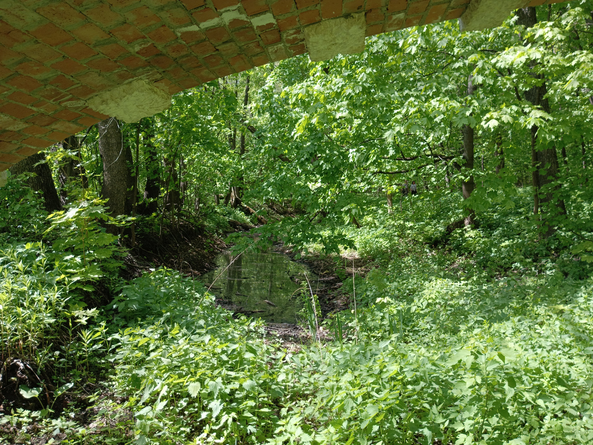 Протока под мостом. Воды мало.