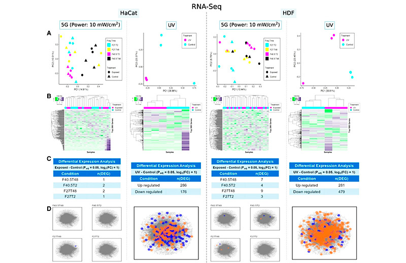 Влияние электромагнитных волн частот, используемых сетями 5G, на РНК клеток кожи человека