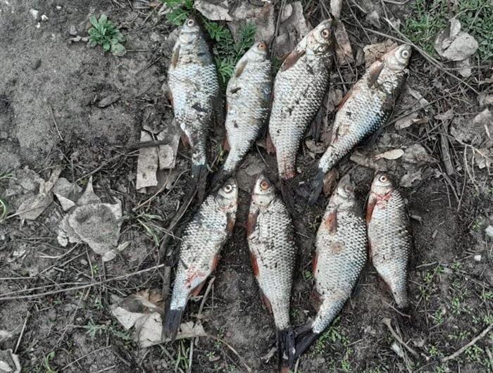    ФОТО: Сызранское ЛО МВД РФ на транспорте