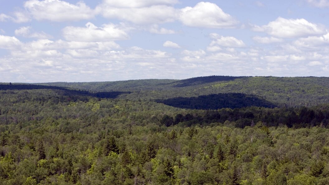    Фото: Serguei Fomine/Russian Look/Globallookpress