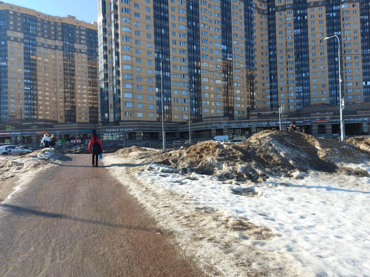 Человейники на Парнасе.