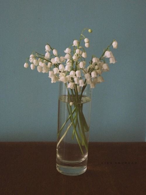  Источник: Pinterest (@katelinstorrer)   