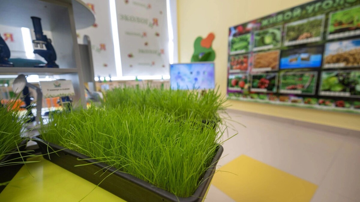    Фото: Юлия Чудинова/«Ямал-Медиа»