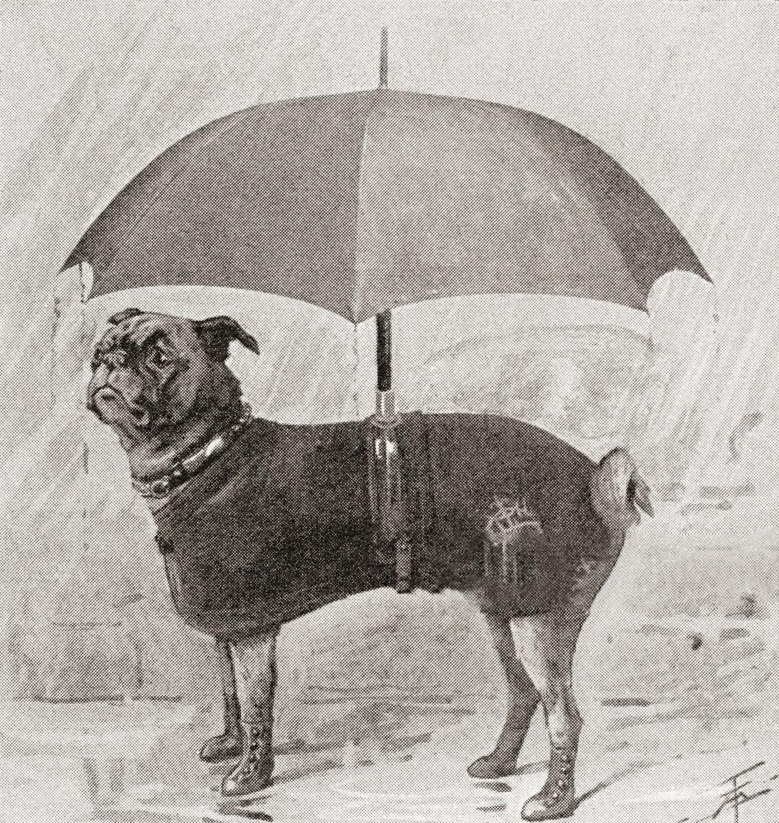 Изображение взято на gettyimages.com Автор: Universal History Archive/Universal Images Group 