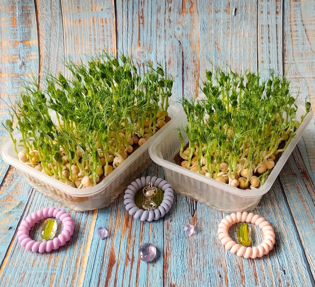 Всеми любимый сладкий, очень нежный, красивый, эффектный горох.