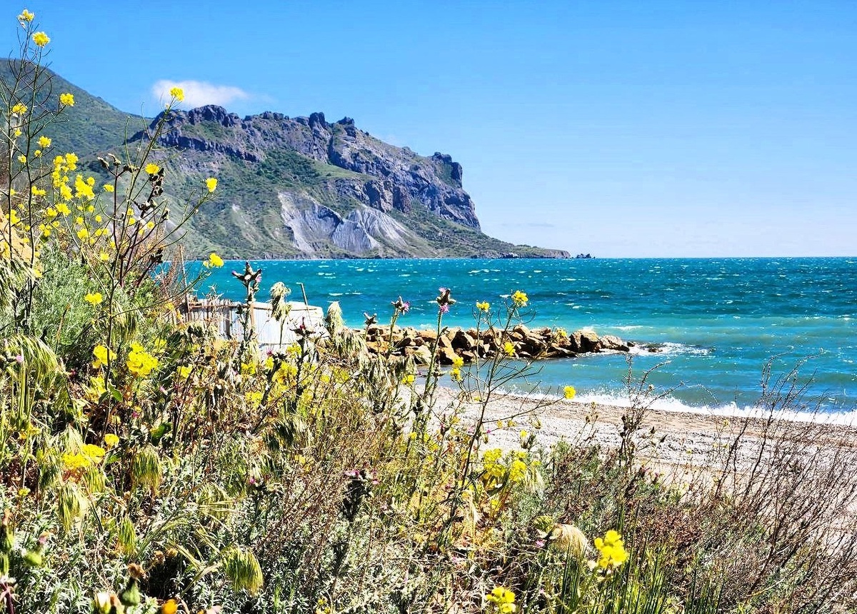 пляж Коктебеля с цветущими растениями и скалами, Крым, Черное море