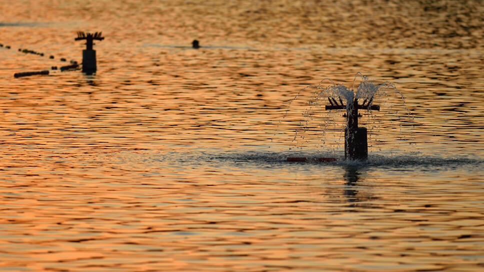 Фото: пресс-служба администрации Майкопа