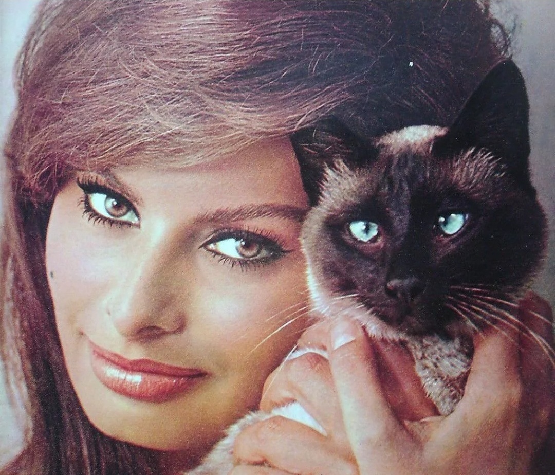 Фото из свободного источника интернета