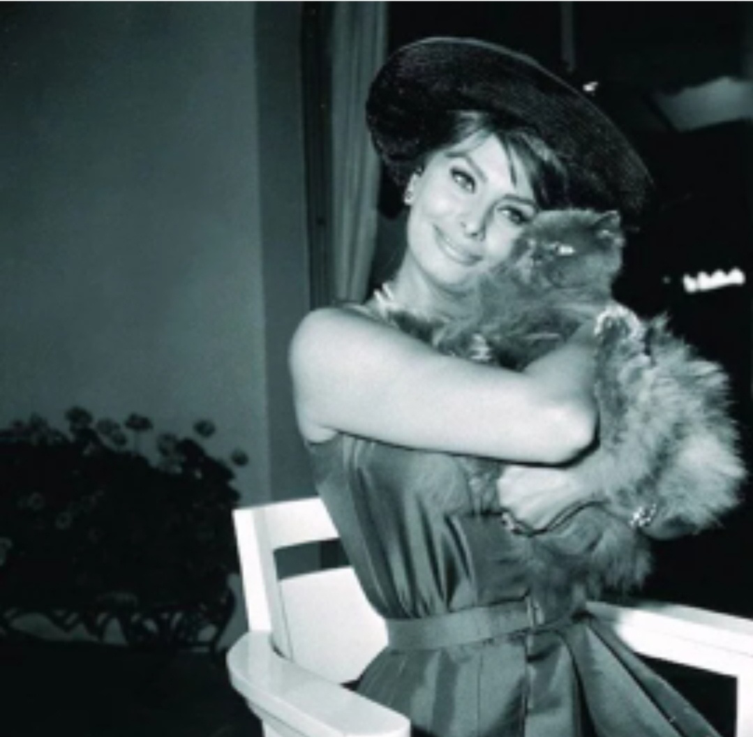 Фото из свободного источника интернета