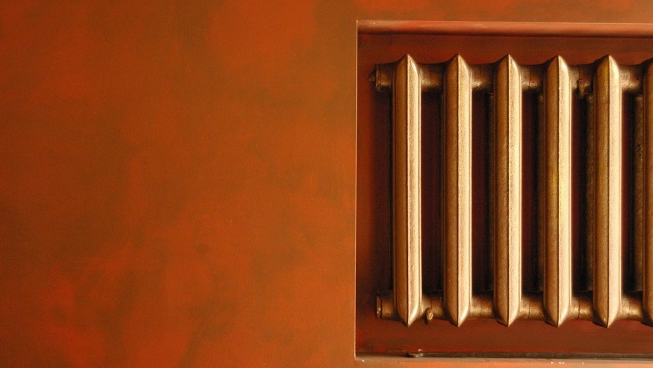    Автор фото: Trend/ Елена Яковлева