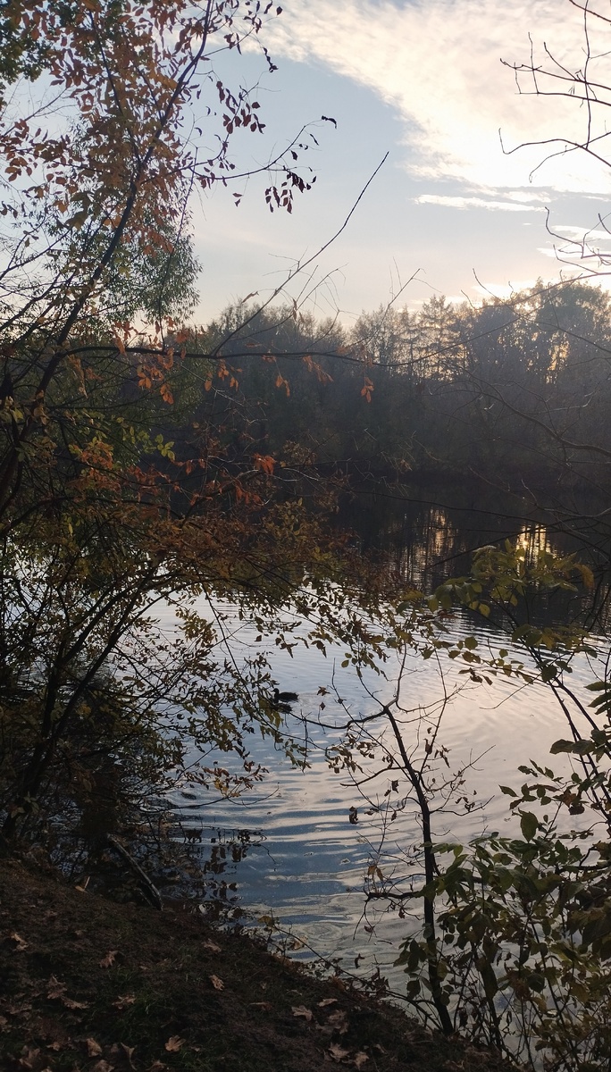 Фото автора