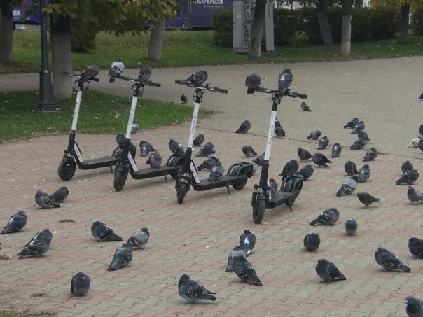 Источник картинки: https://golnk.ru/7yeWB