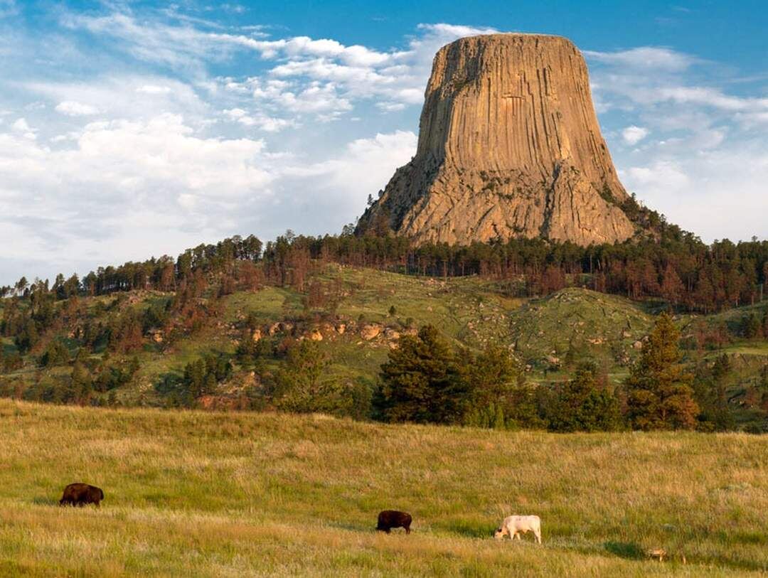 Ландшафт вокруг Башни дьявола. Источник: Яндекс картинки