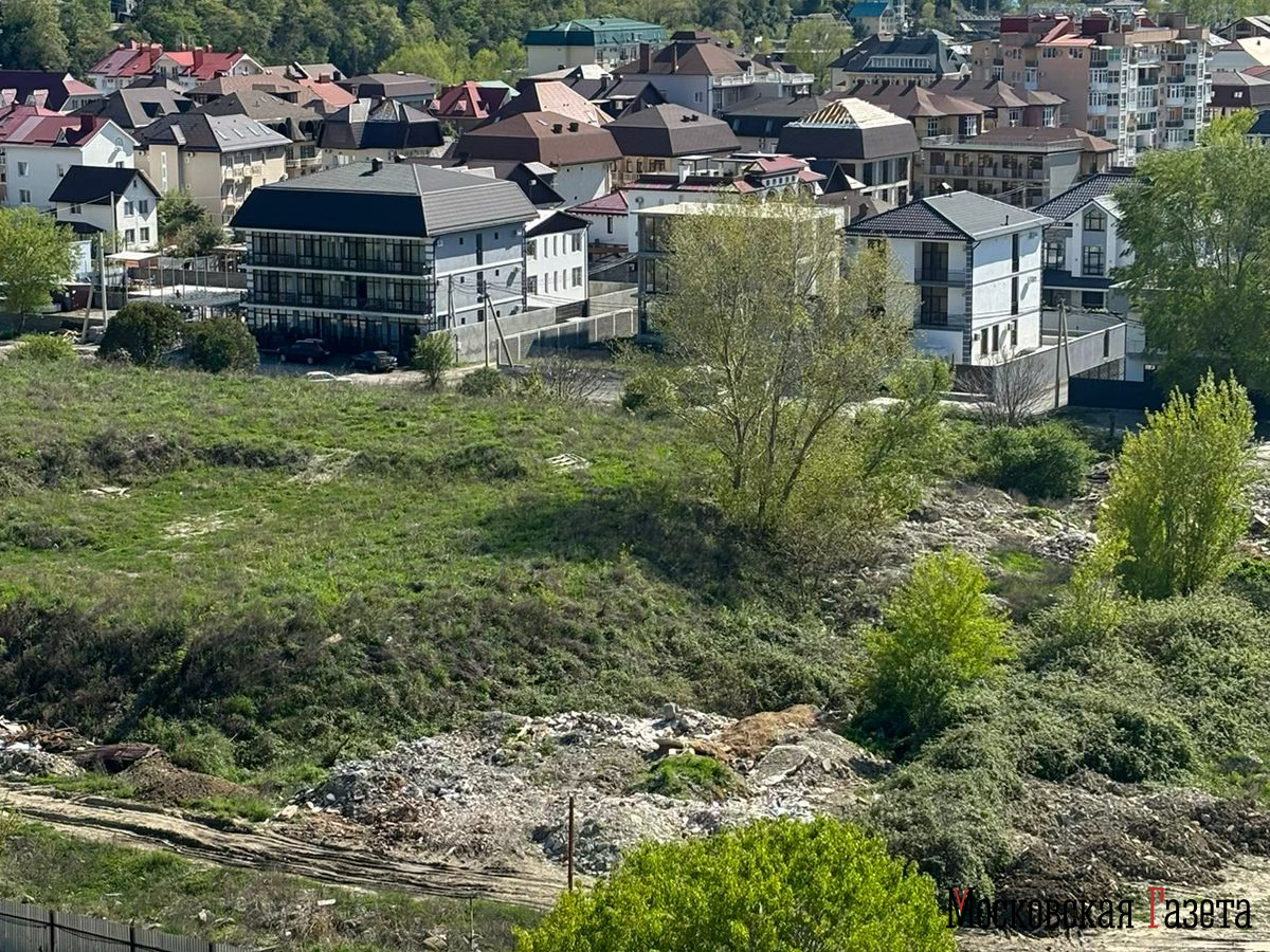 Фото © «Московская газета»