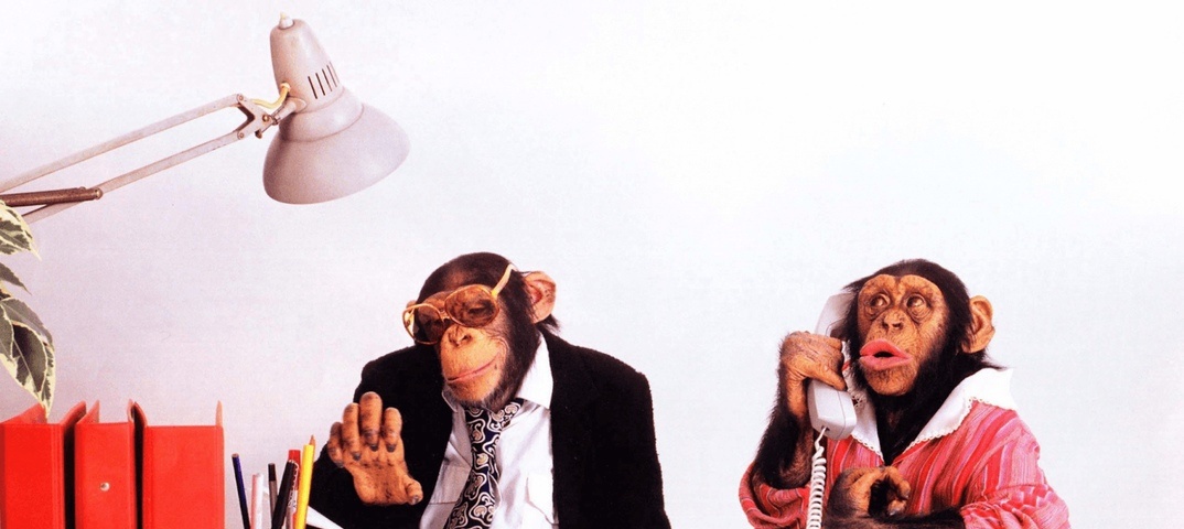 Источник картинки: https://golnk.ru/Bdr36