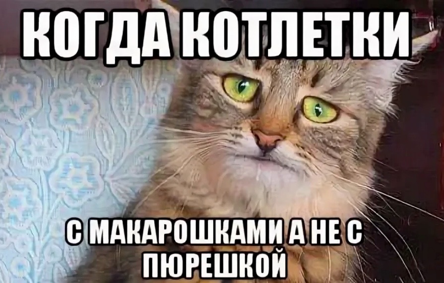 Грустный котик. Понимаю. Пюрешка - это вам не макарошки)))